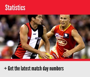 stats.jpg